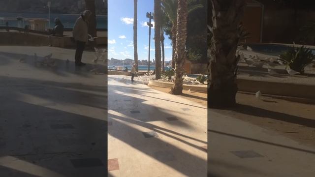 Испания (Бенидорм и Аликанте) смотреть онлайн