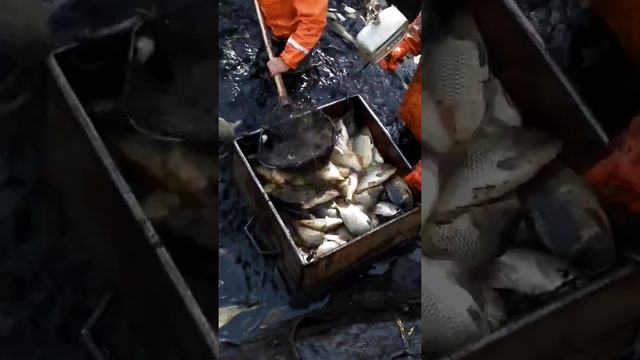 VID 20181010 144023 смотреть онлайн