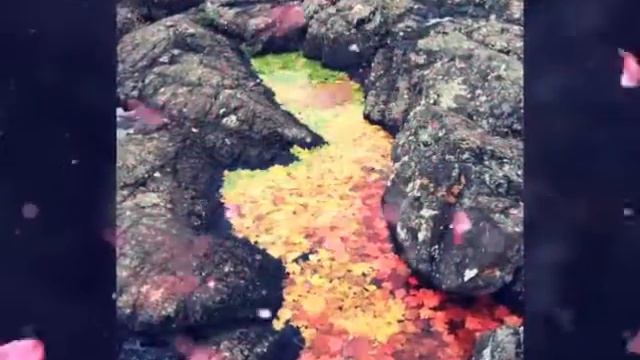 Ловите ещё прикольных фоток!!!!!! смотреть онлайн