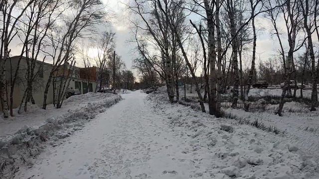 Гуляем по Аллее в районе аэропорта г.Елизово. смотреть онлайн