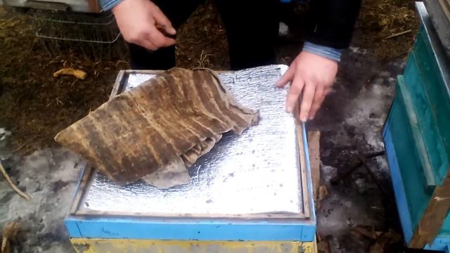 Эксперементальная сибирская пасека Рудакова Юрия смотрим дальневосточные пчелосемьи