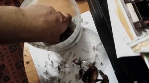 Как чистить блесну.