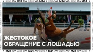 Создателей фильма "Мой любимый чемпион" обвинили в жестоком обращении с лошадью - Москва 24