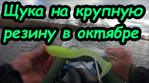 Ловля щуки в конце октября на крупные приманки