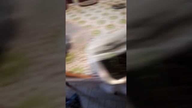 Продолжаю вести дневник по посаженными растениям. смотреть онлайн