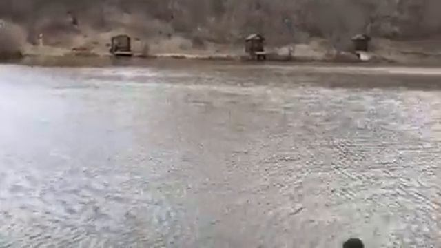 Лебяжье озеро. Крым, отдых в беседках, рыбалка смотреть онлайн