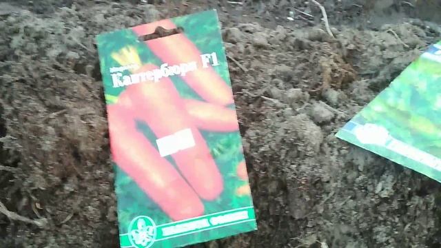  смотреть онлайн