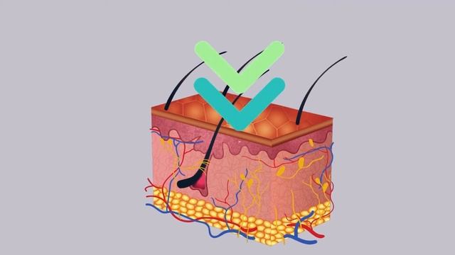 10 ошибок при оказании первой помощи которые могут навредить смотреть онлайн
