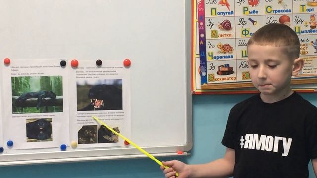 Детский центр "Уникум" представляет выступление на тему "Животные жарких стран" смотреть онлайн