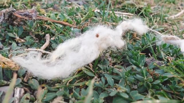 Most beautiful places in Armenia | Lake Sevan | 9th century monastery | Armenia Travel guide |EP 2/ смотреть онлайн