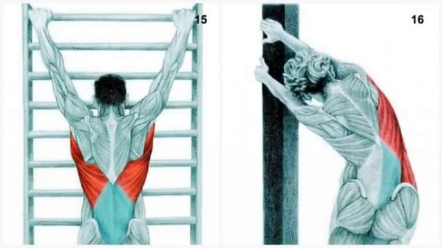 Упражнения на растяжку часть 2 смотреть онлайн