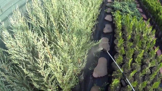 Иррациональность и Рациональность...