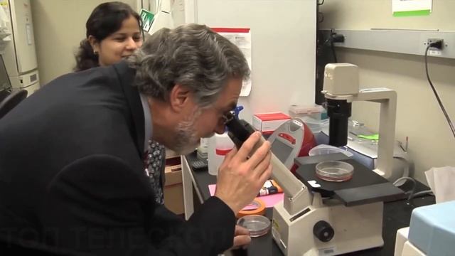 НОБЕЛЕВСКАЯ ПРЕМИЯ 2019: кто получил и за что? смотреть онлайн