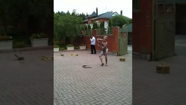 Танец со змеей смотреть онлайн