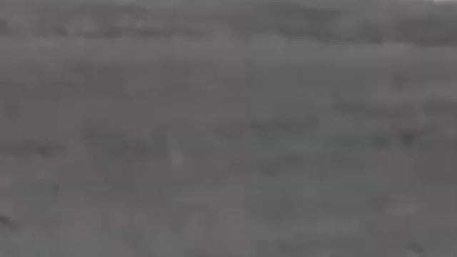 HIKMICRO by HIKVISION Lynx Pro LE10 - dziki, wildboar смотреть онлайн