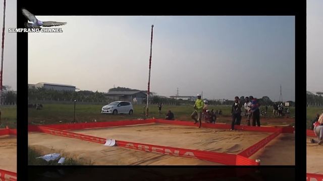 FINAL LOS DEM !! GARONG TEAM AG VS RAMPOK TEAM COKLAT || PRA LOMBA NEW AYLA LAPAK IPI TELESKOP AREN смотреть онлайн