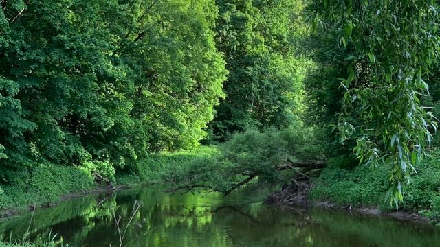Релаксация по Джекобсону. Этап 2. смотреть онлайн