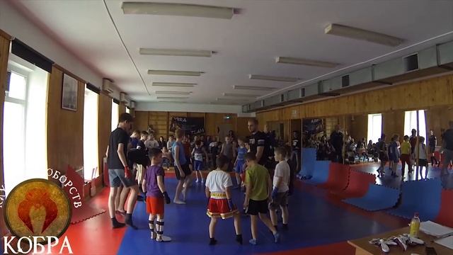 Презентация Школы Кобра смотреть онлайн