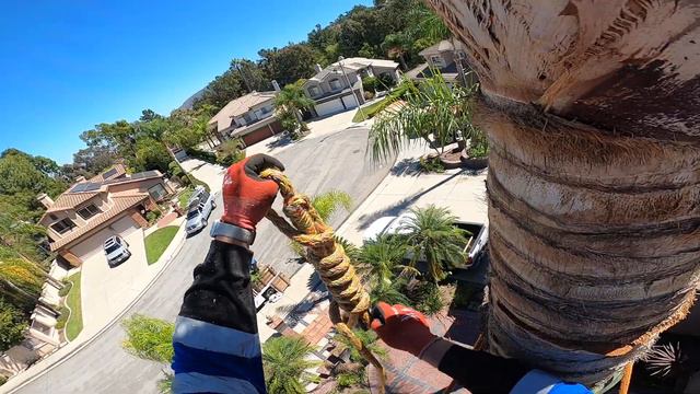 una palma de 35ft part#1 смотреть онлайн