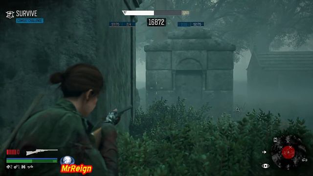 DAYS GONE - Survive - 36.6K - All 5 Gold Ranks in One Playthrough - Survive Tutorial смотреть онлайн