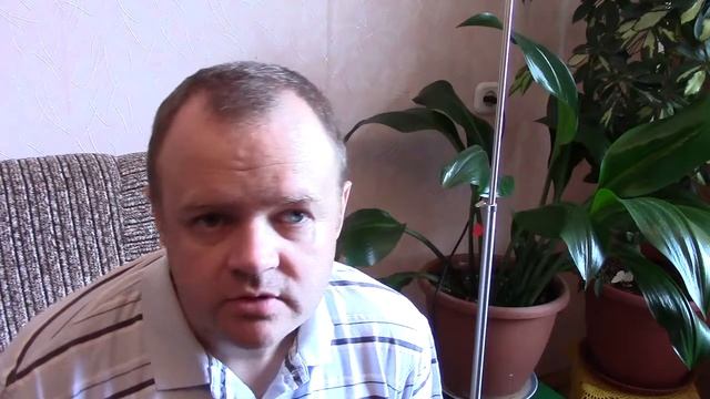 Плохо сплю смотреть онлайн
