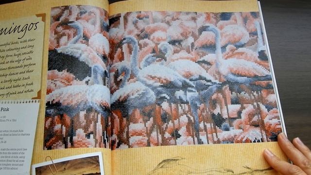 Моя рукодельная библиотека: Обзор книги Jayne Netley Mayhew'S Cross Stith Safari смотреть онлайн