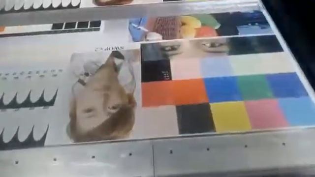 Результат перевода BIGPRINTER UV2031iPM8 на УФ-чернила LIPLA EsOne HD смотреть онлайн