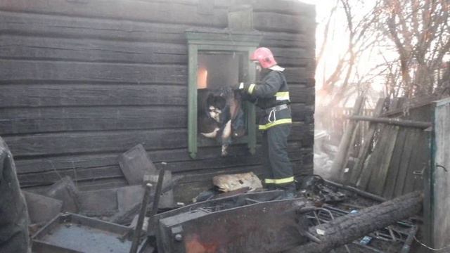 Запрет на посещение лесов введен в Мозырском районе смотреть онлайн