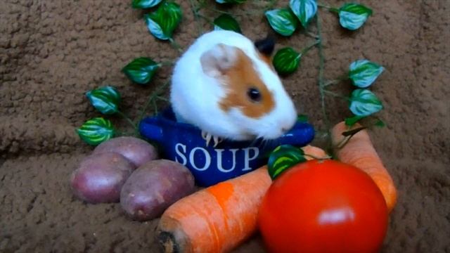 Суповой набор