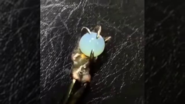 Заколка для волос своими руками