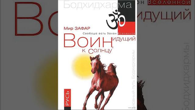 МИР ЗАФАР Воин Идущий к Солнцу РУСЬ 004