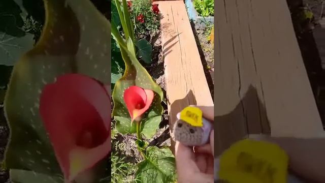 Приключения на даче? смотреть онлайн