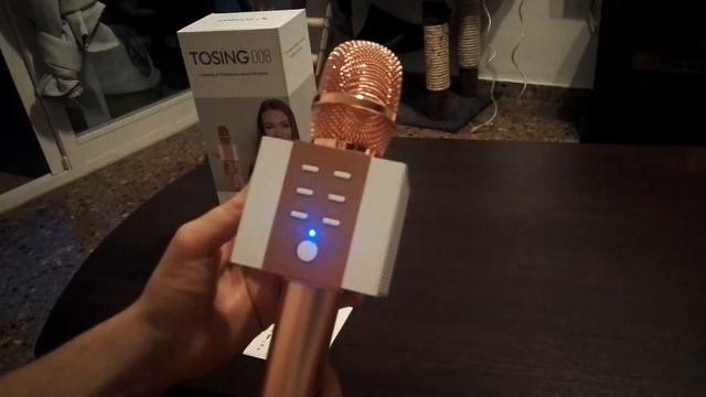 Micrófono Tosing 008 смотреть онлайн
