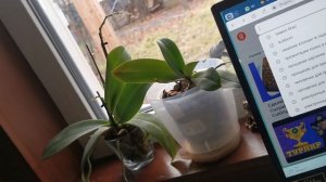 Как поменять фон на компьютере Acer Nitro 5 виндоус 11