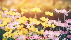 Careless Whisper (George Michael) with Lyrics