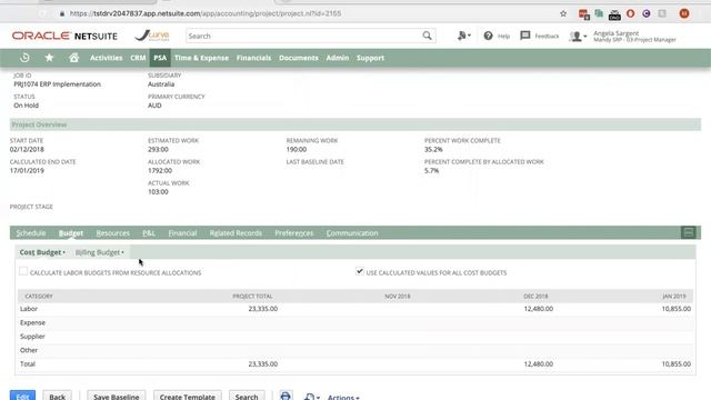 NetSuite Project Management Software - Overview Webinar смотреть онлайн