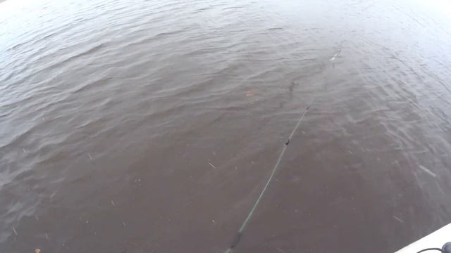 Проверка сетей на реке,вода прёт недуром. смотреть онлайн