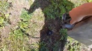 ремонт спидометра китайского мотоцикла (не работает спидометр)