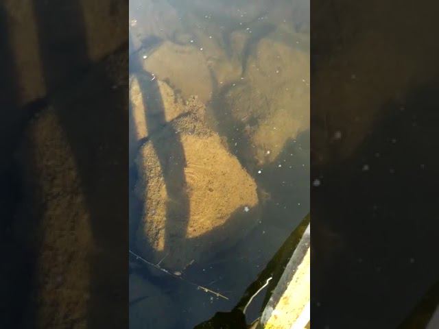 14 августа 2022 г. смотреть онлайн