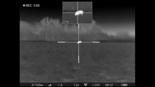 Wild Hogs on the Wheat with Pulsar Trail XP 38 смотреть онлайн
