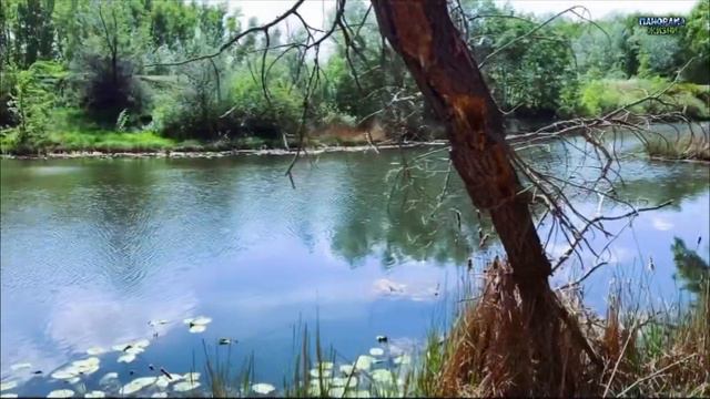 THE NATURE OF THE URALS FASCINATES #орск #россия #урал #urals #реки смотреть онлайн