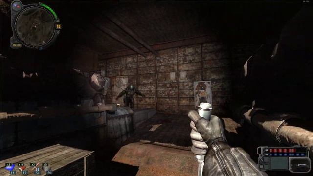 S.T.A.L.K.E.R ИСТИННАЯ КОНЦОВКА (БЕЗ ВОДЫ) смотреть онлайн