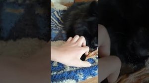Люся не делится едой!