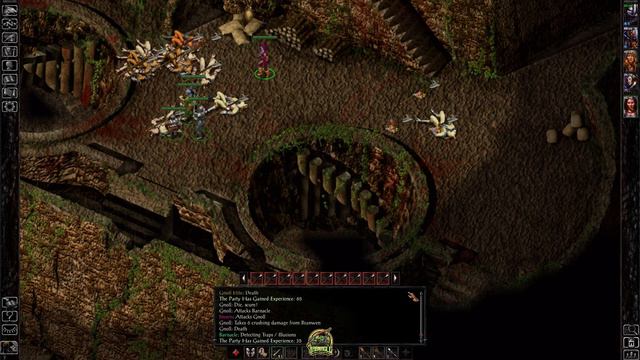 Baldur's Gate 1 (EE) -- EP.12 | Dryad Falls & Gnoll Stronghold | PC | 1440p60FPS смотреть онлайн