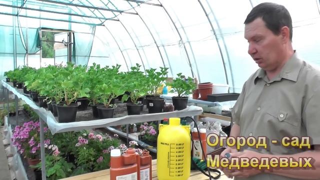 Как подобрать подкормки во время плодоношения томатов смотреть онлайн