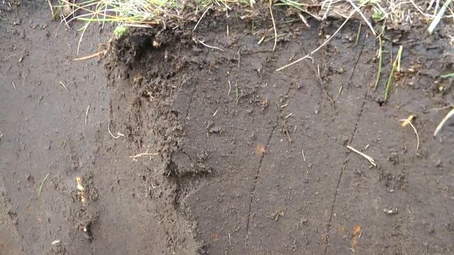 НАХОДКИ С ГЛУБИНЫ / РАСКОПКИ ДОМА ВРЕМЕН ПЕТРА I смотреть онлайн