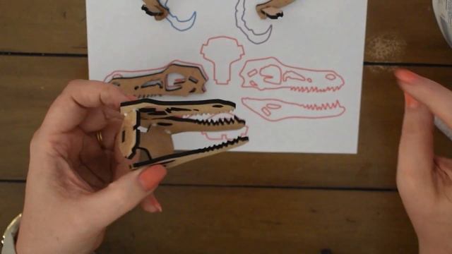 DINO   Velociraptor - Subscription Box