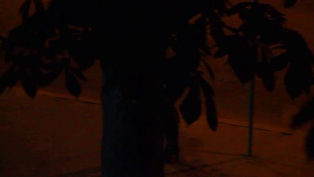 Ночная бабочка в Одессе смотреть онлайн