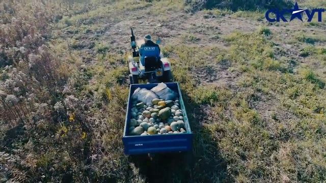 Трактор СКАУТ с прицепом 1ПТС 1,5Т Сбор урожая тыкв смотреть онлайн