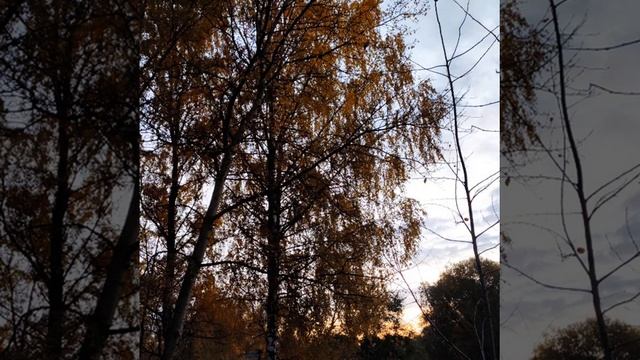 Осень??? смотреть онлайн